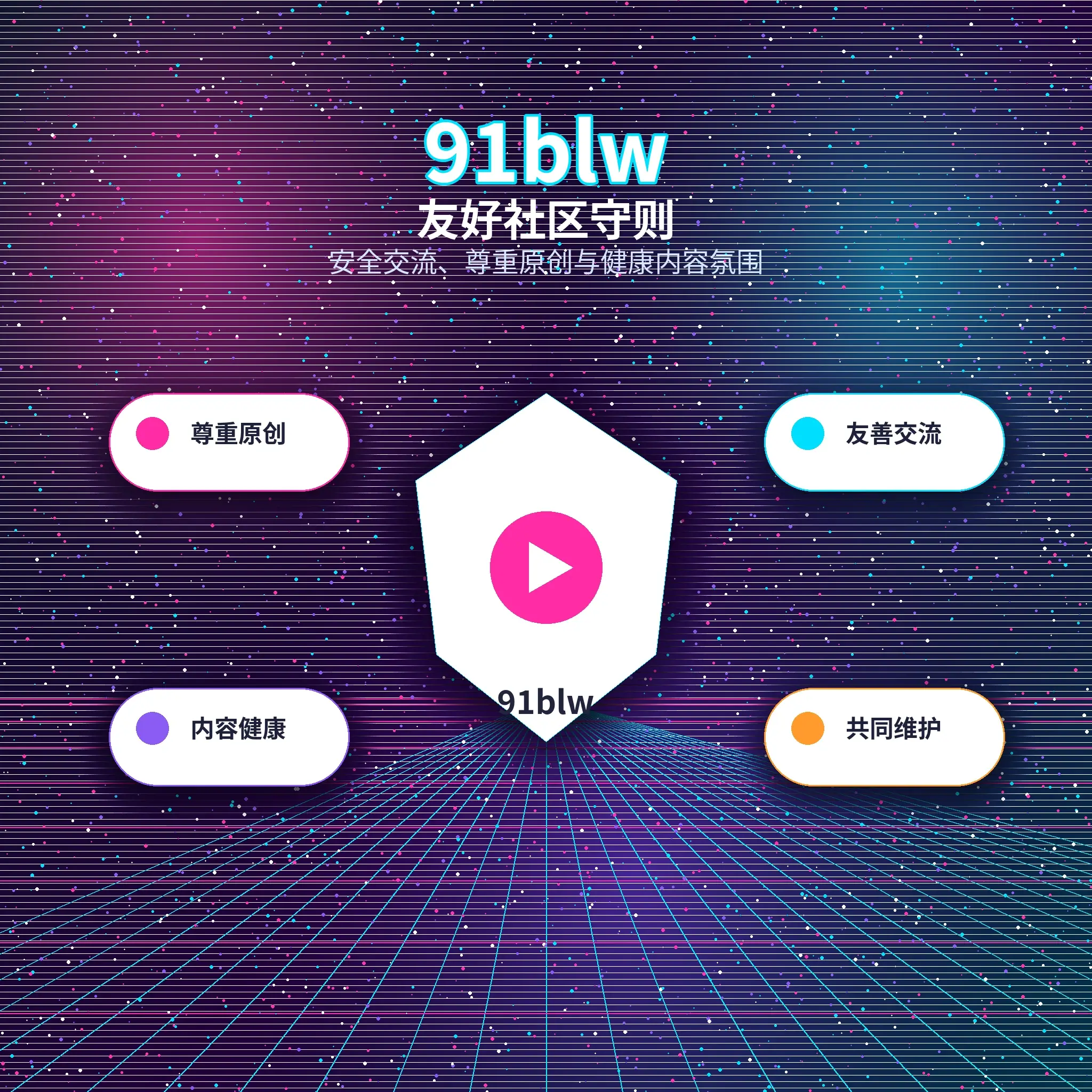 91网账户资料与登录指南